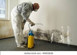 Mold Remediation for Rental Properties in Northlake, SC